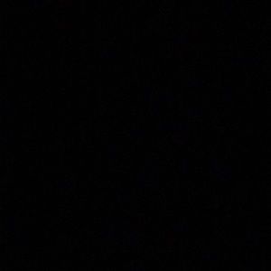 Meet your Posher, Dustin